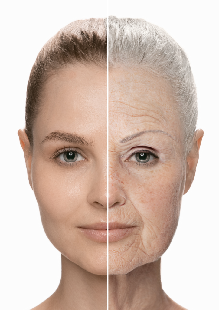 Comparatif avant/après de l'évolution du visage d'une femme entre sa vingtaine et sa 60aine.